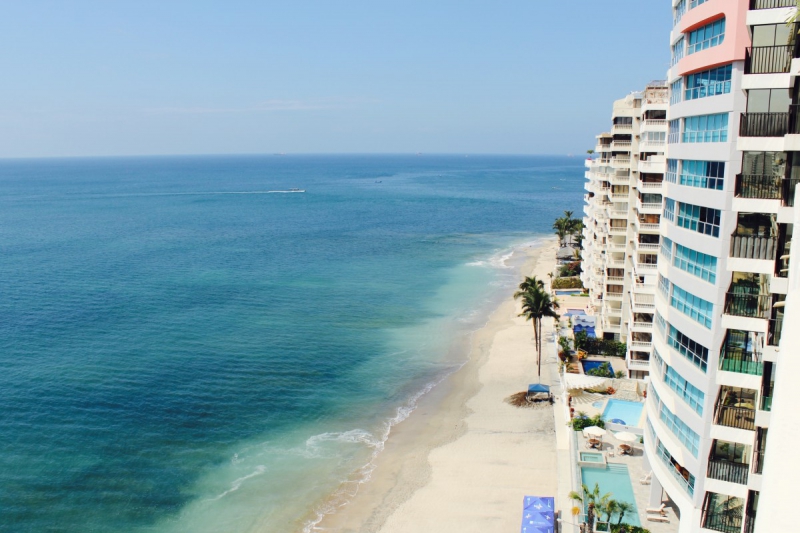 chambre-hote-NICE-min_beach_ocean_shore_hotel_palm_tree-33726